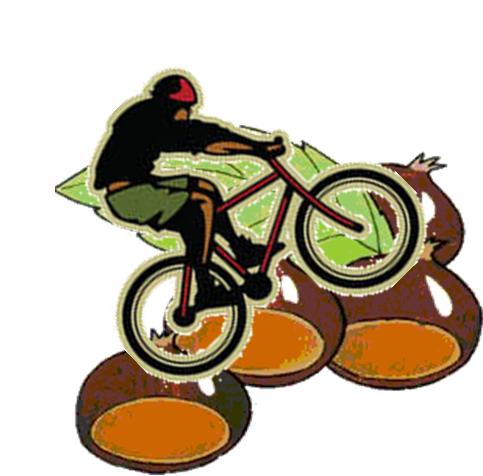 Escursioni Autunnali MTB classifica Societ&agrave;